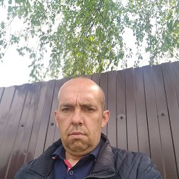 �������, 41 ���, �������