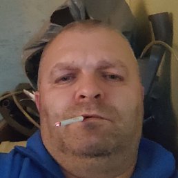 ������, �������, 46 ���