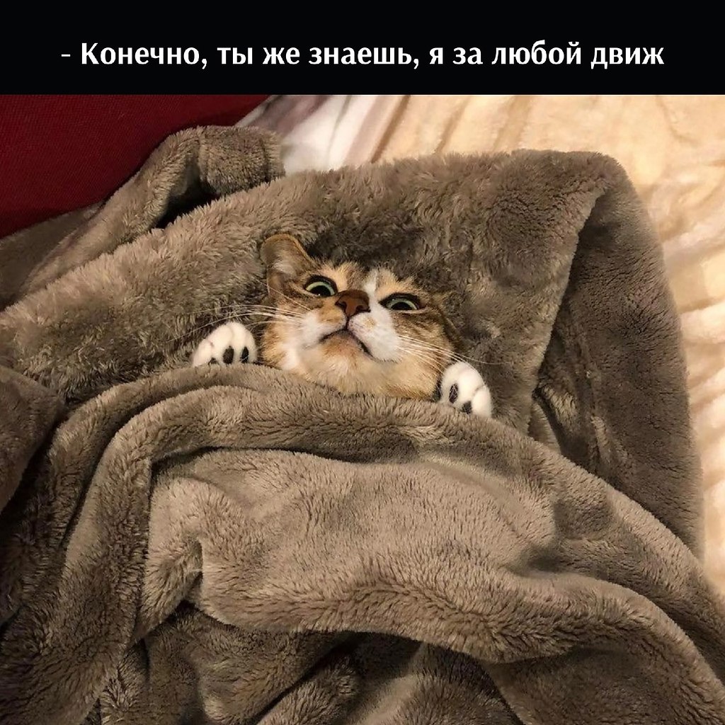       - 11  2025  12:56 - 3