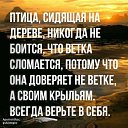  , , 61  -  9  2025    