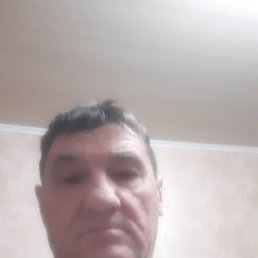 , 65 , 