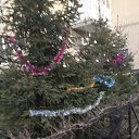 ���� �, �����-��������� - ��������� 31 ������� 2024 � ������ ������ ��������