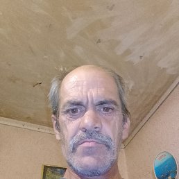 , 49 , 