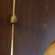 , 42 , 