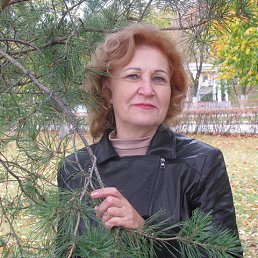 ���� ����, ������ - ��������� 5 ������ 2026