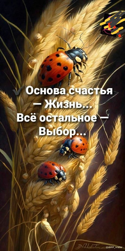   - 15  2024  02:18
