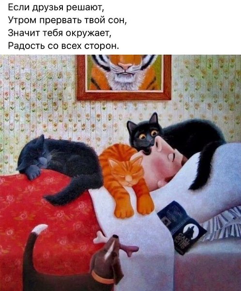      ... ..