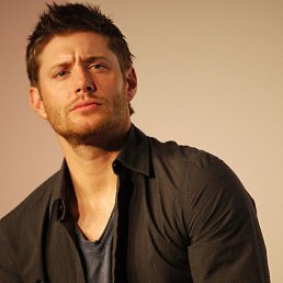 �����, �������, 46 ���