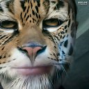 ���� ���� ����, ������, 79 ��� - ��������� 11 ��� 2026 � ������ ���� ����������
