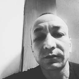 ���������, �������, 41 ���