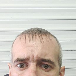 ��������, ������, 37 ���