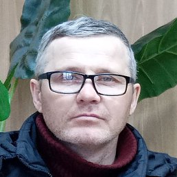 ������, ������, 46 ���