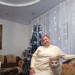 , 65, 
