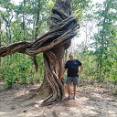 ���� �����, ���������, 36 ��� - ��������� 5 ������� 2026