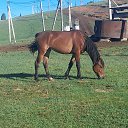 ���� ��������, �������, 40 ��� - ��������� 31 ��� 2024