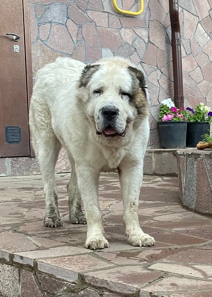 26 ������� 2017 ���� � ��� �� ���� ����� ������. ������ ���� ���� � ������ � �����. � ��� ��� ... - 2