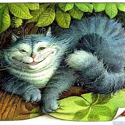 �������, �������, 41 ���