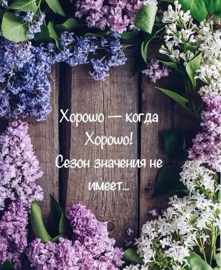   ! - 19  2025  10:04