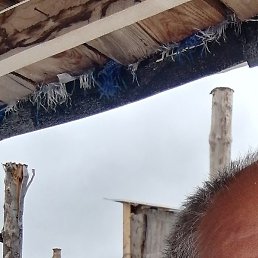 ������, ������, 56 ���