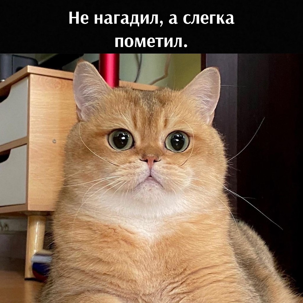 , ,    . - 2