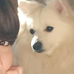 ��������, ������, 28 ���