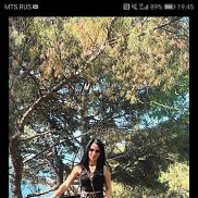 , 33 , 