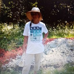 ����, ������, 66 ���