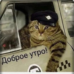 ����, ����, 33 ����