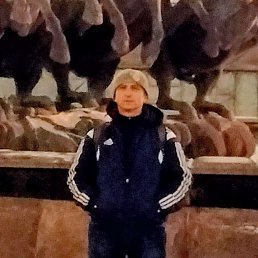 , 50, 