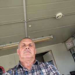 , 55, 