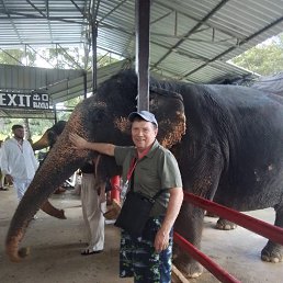 , 62, 