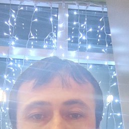 ����, 33 ����, �������