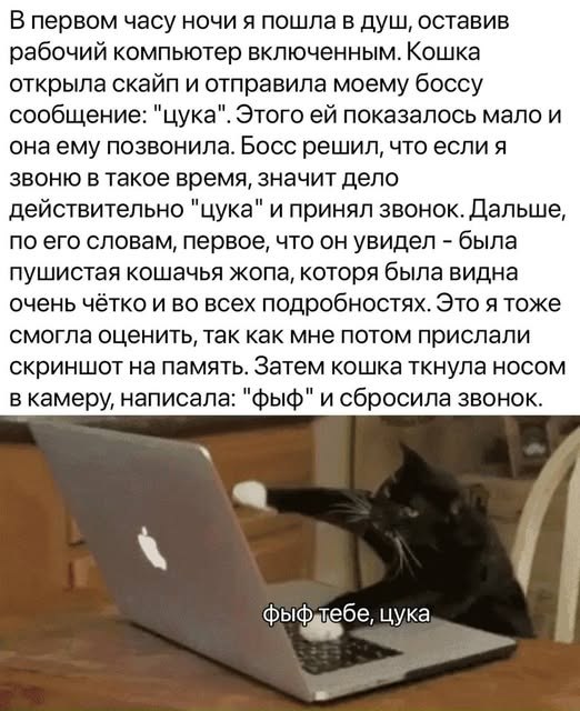 Анна Ядо - 17 октября 2025 в 08:20