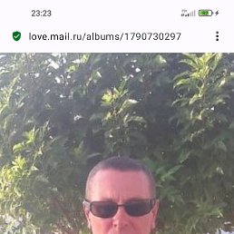 , 44, 