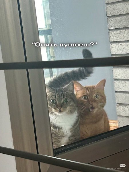 � ���� ���?
