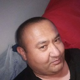 �����, ������, 43 ����