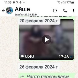 ����, �����������, 37 ���