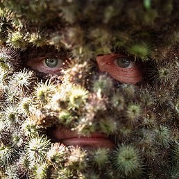 ������, �����, 41 ���