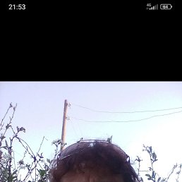 ���� ��������, ������, 51 ��� - ��������� 27 ������� 2023