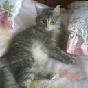 ���� �����, ����, 49 ��� - ��������� 16 ������ 2025 � ������ ������ ��������