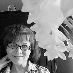 , 58, 
