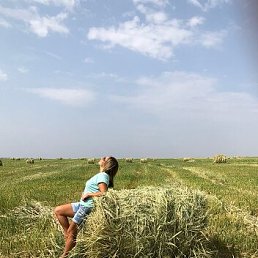 ���� ������, ����, 34 ���� - ��������� 23 ������� 2026