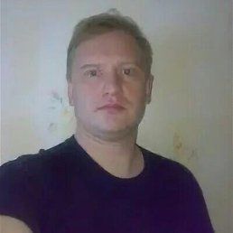 , 53 , 
