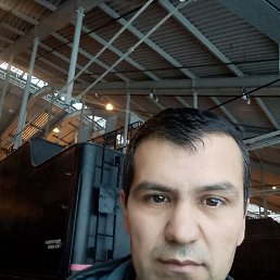 ���� �����, �����-���������, 38 ��� - ��������� 30 ������ 2026