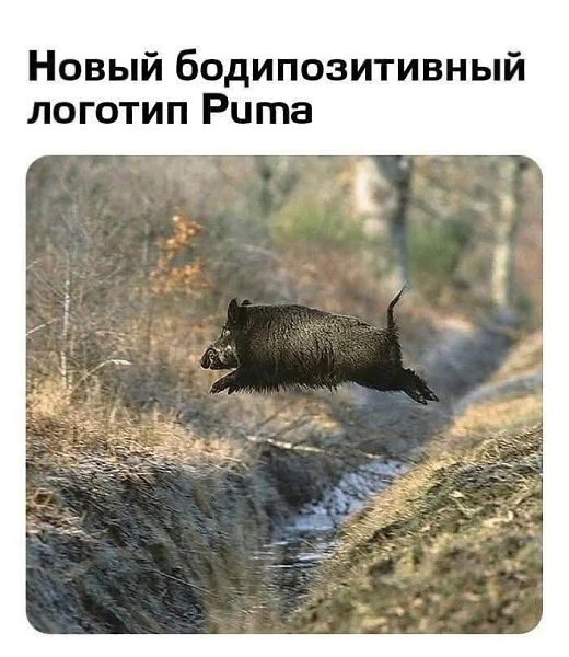   - 9  2025  10:21 - 3