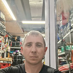 , 33, 