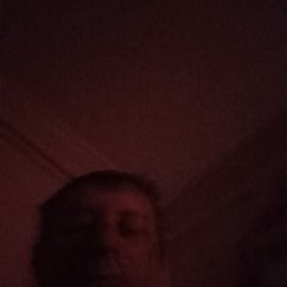 , 49 , --
