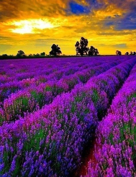      .  ,      ,   ... - 2