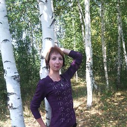 ����, 41 ���, ������