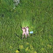 �������, 39 ���, ������